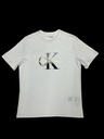 200006 calvin klein T-shirt