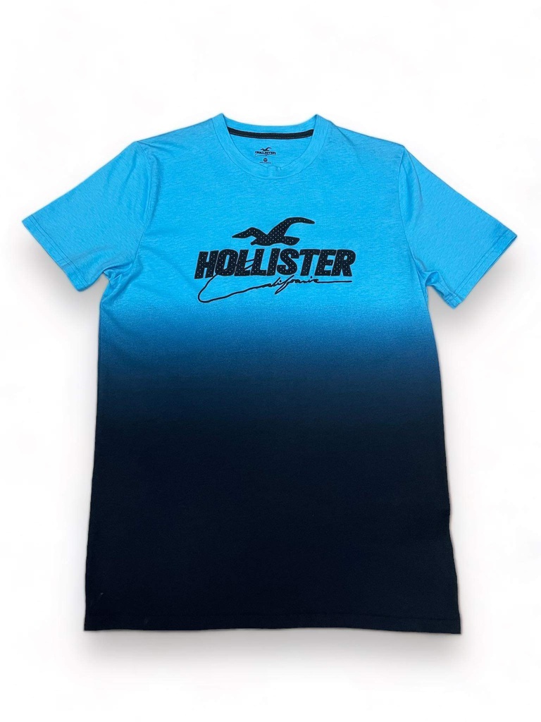 200192 Hollister T-shirt