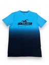 200192 Hollister T-shirt