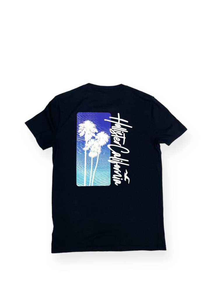 200185 Hollister T-shirt