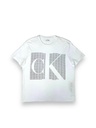 200009 calvin klein T-shirt Size XL