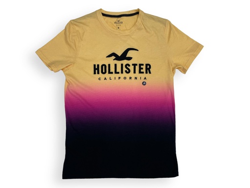 [200032] 200032  Hollister T-shirt Size M