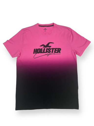 [200038] 200038 Hollister T-shirt