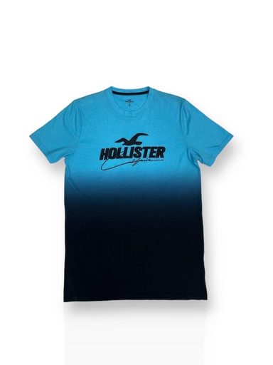 [200192] 200192 Hollister T-shirt