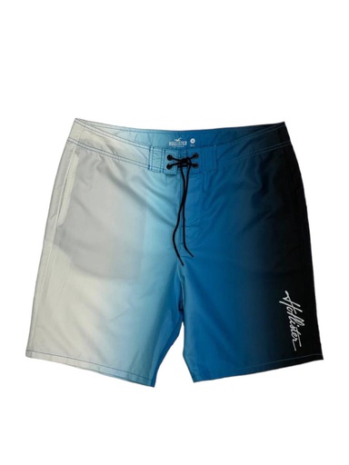 [300008] 300008 hollister