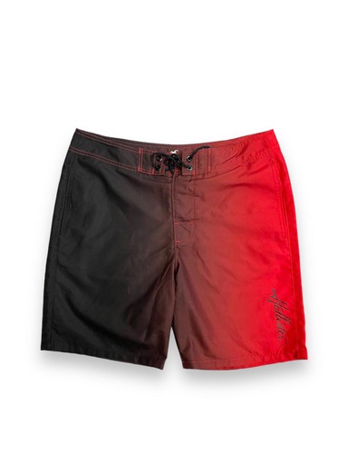 [30009] 300009 Hollister